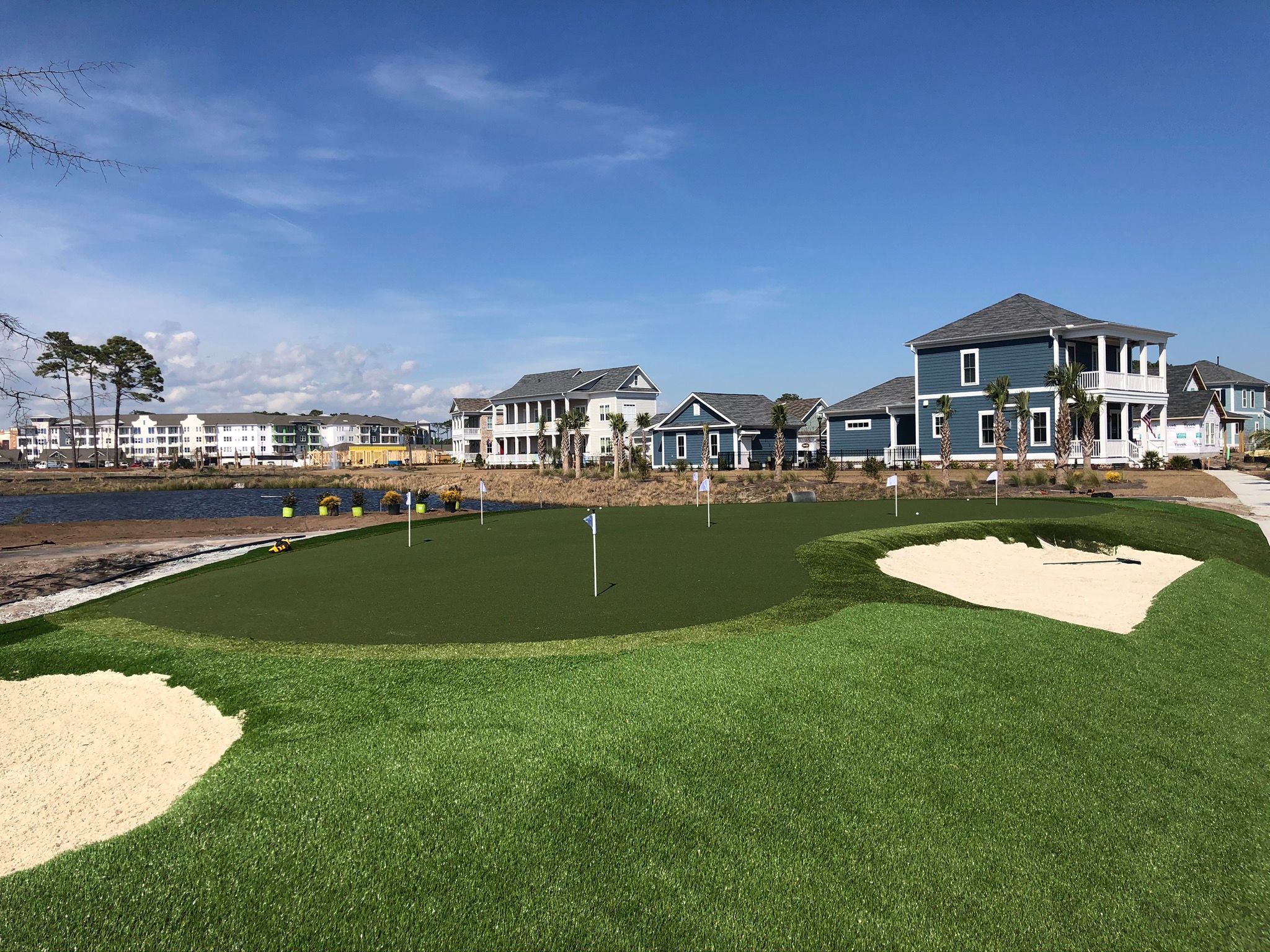 LIVING DUNES